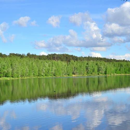 Photo #13352743