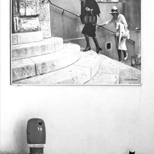 Photo #13352760