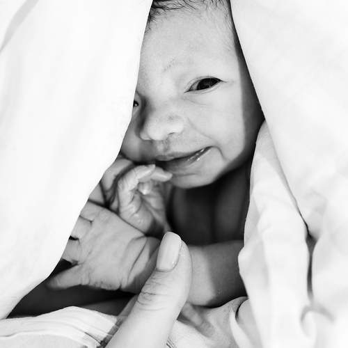 Photo #13352837
