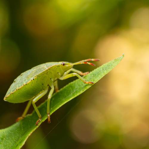 Photo #13352934