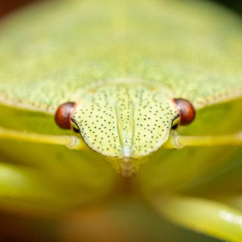 Photo #13352941