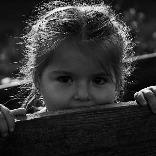 Photo #13353006