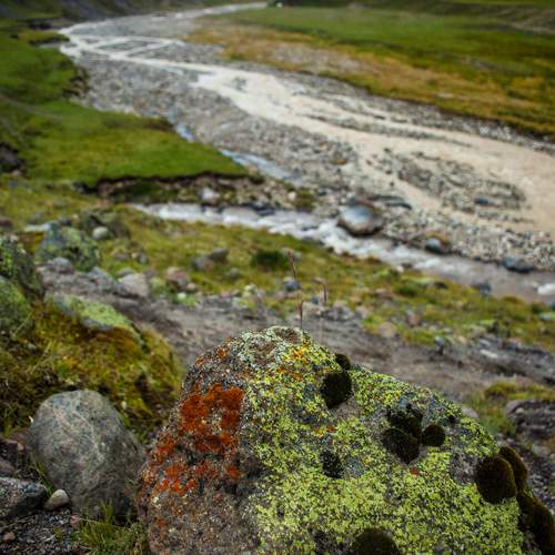 Photo #13353039