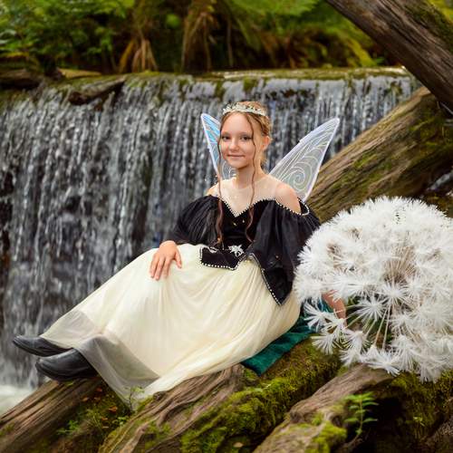 Photo #13353184