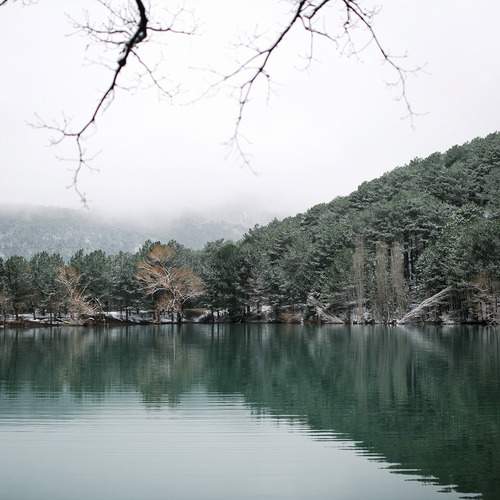 Photo #13353192