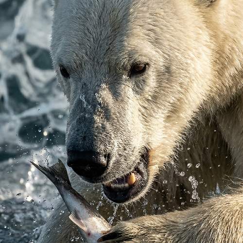 Photo #13353207