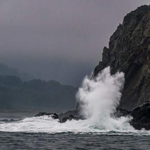 Photo #13353264
