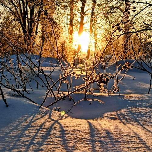 Зимнее утро