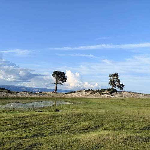Photo #13353334