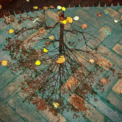 Photo #13353343
