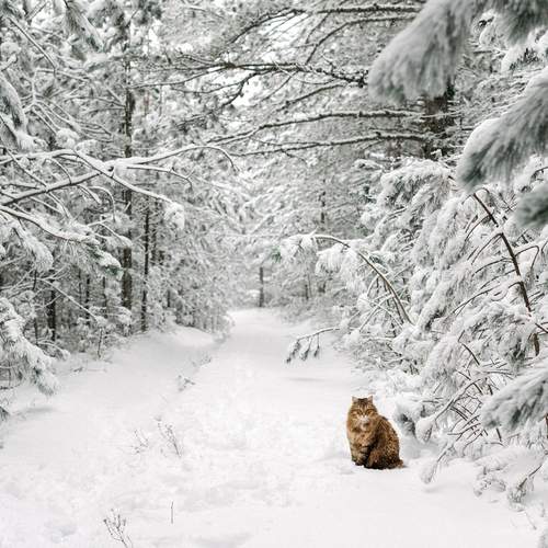 Photo #13353448