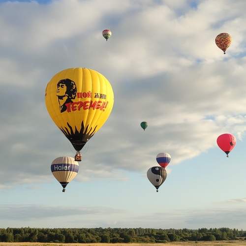 Photo #13353535