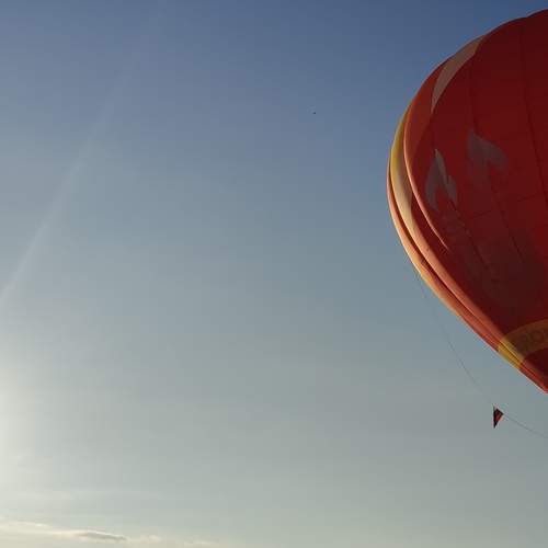 Photo #13353544
