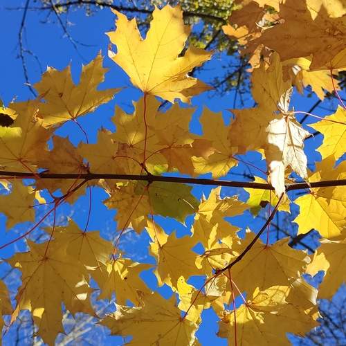 Photo #13353547