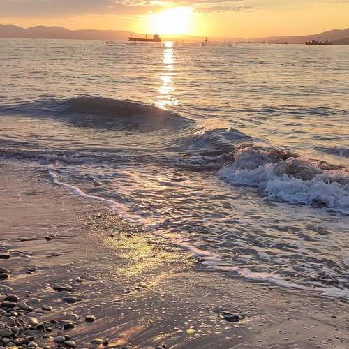 Photo #13353551