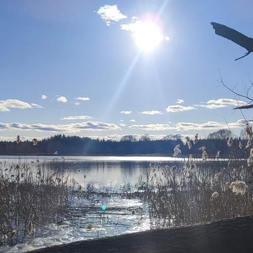 Photo #13353555
