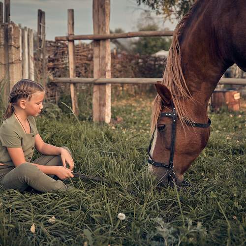 Photo #13353577