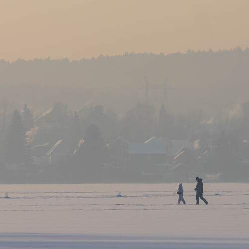 Photo #13353657