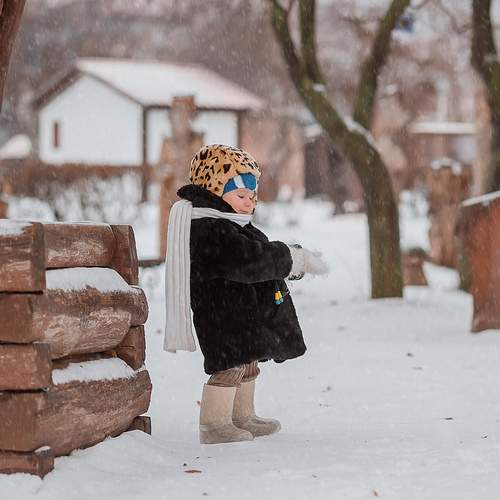 Photo #13353762