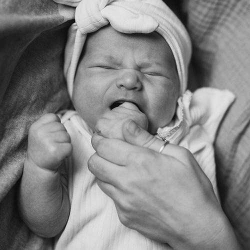Photo #13353954