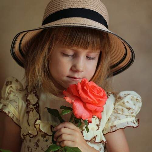 Photo #13354112
