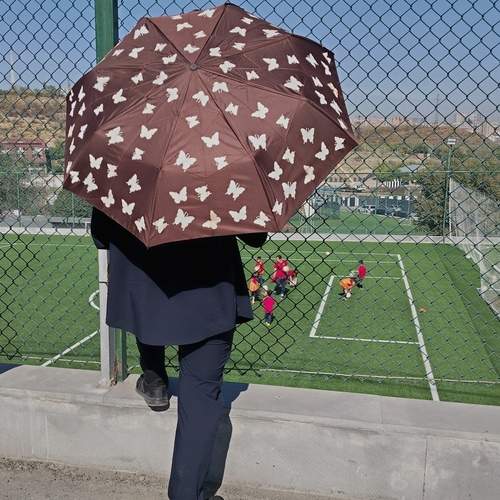 Photo #13354121