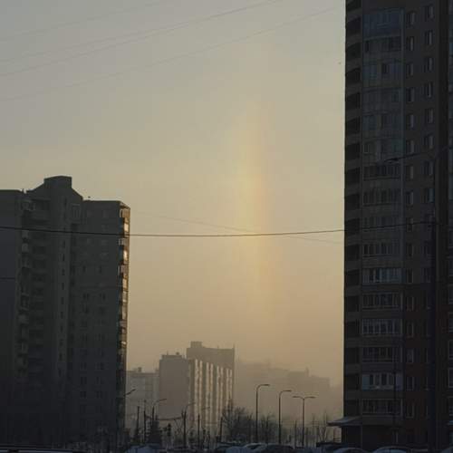 Photo #13354305