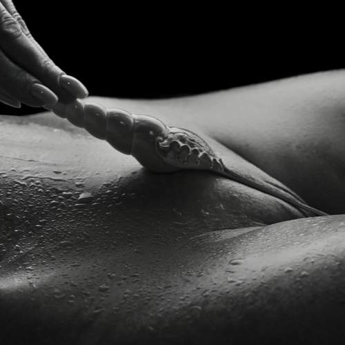 Photo #13354329