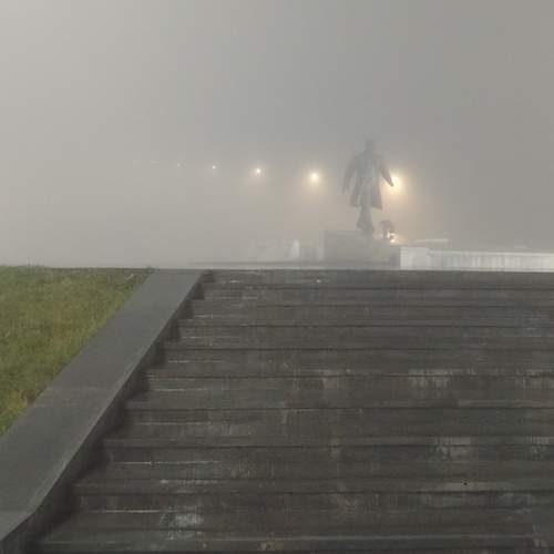 Photo #13354458