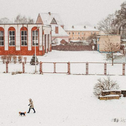 Photo #13354465