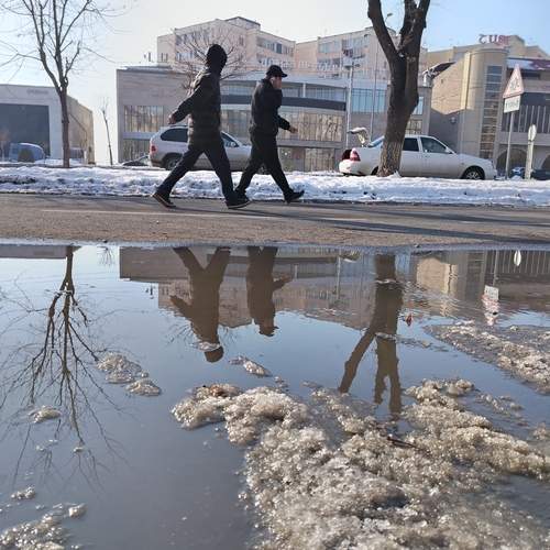 Photo #13354525
