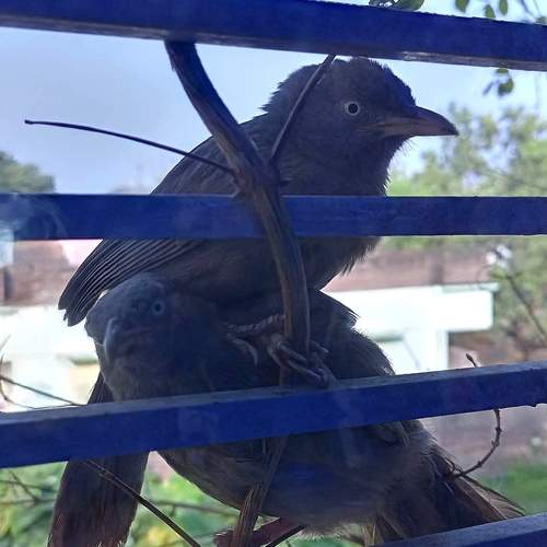 Photo #13354558