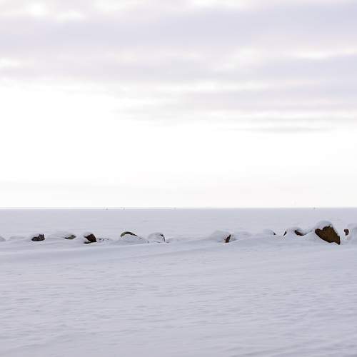 Photo #13354612