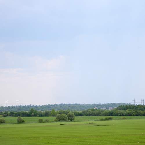 Photo #13354614