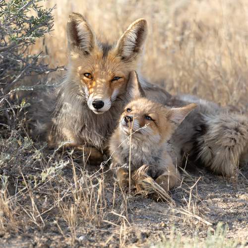 Photo #13354624