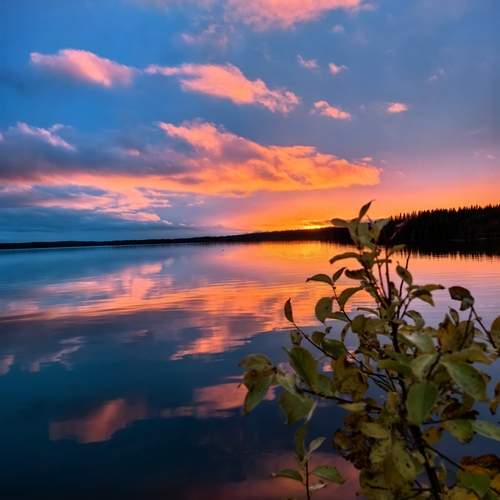 Photo #13354656
