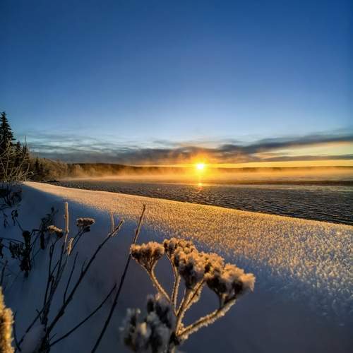 Photo #13354657