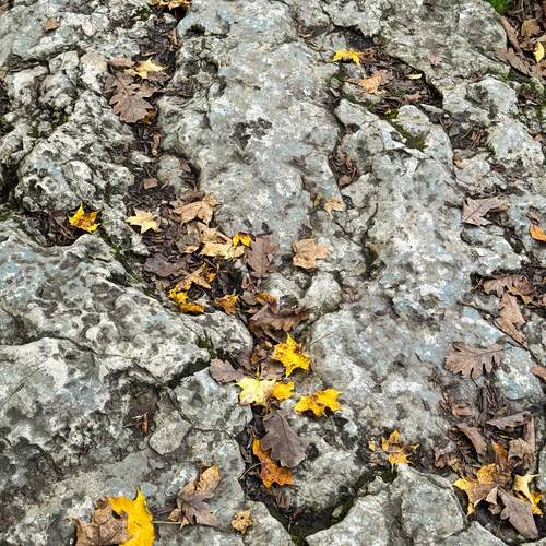 Photo #13354661