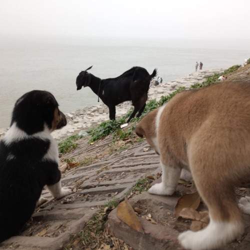 Photo #13354739