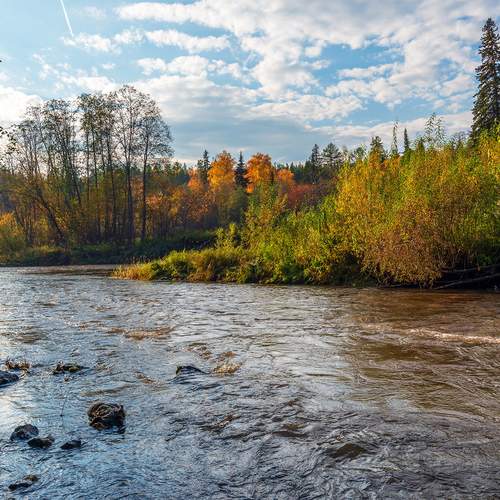 Photo #13354859