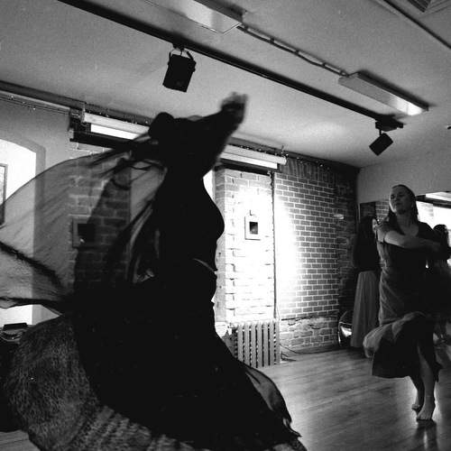 Photo #13354950