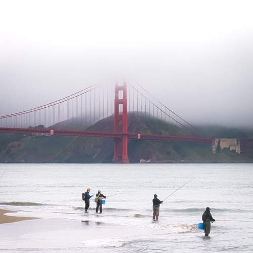 Photo #13354991