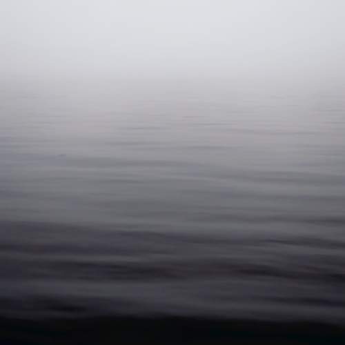 Photo #13355031