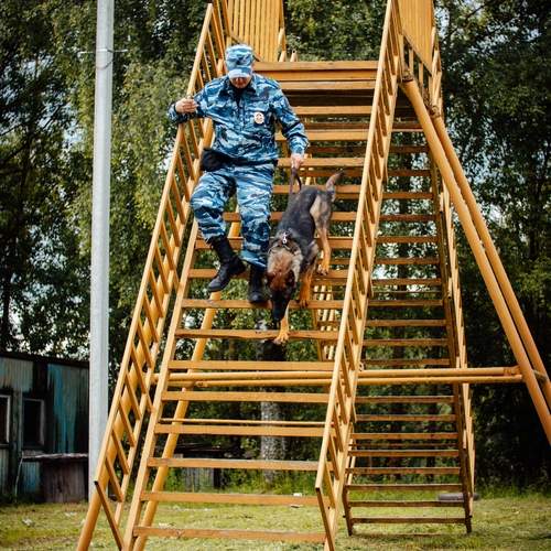 Photo #13355060