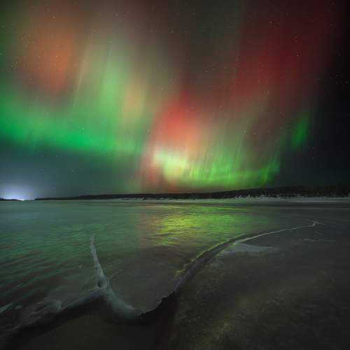 Photo #13355153