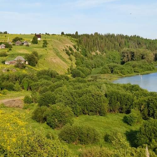 Photo #13355263