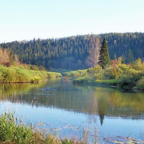 Photo #13355370