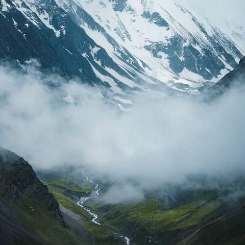 Photo #13355407