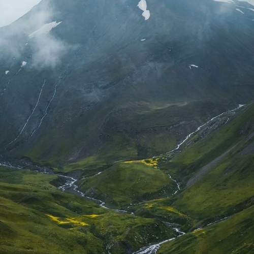 Photo #13355411