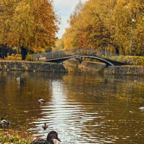 Photo #13355504